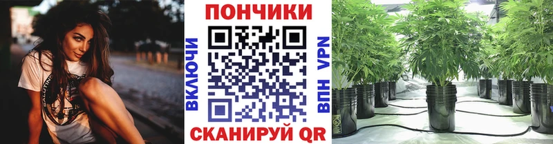 Бошки марихуана план  наркота  Белоярский 